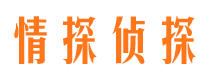 怀集情探私家侦探公司